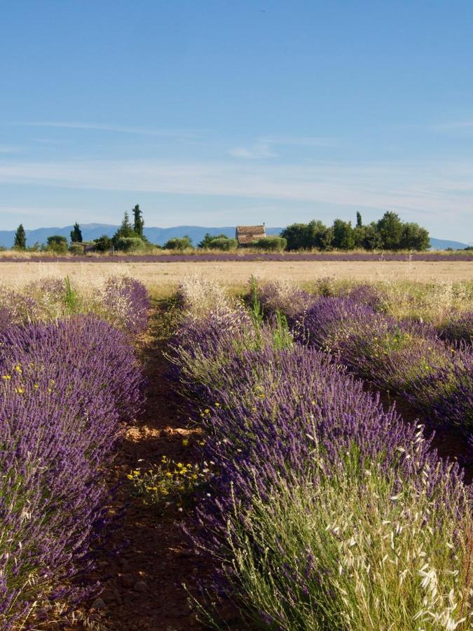 Oasis Tranquille - L'Evasion Au Verdon Gréoux-les-Bains Zewnętrze zdjęcie