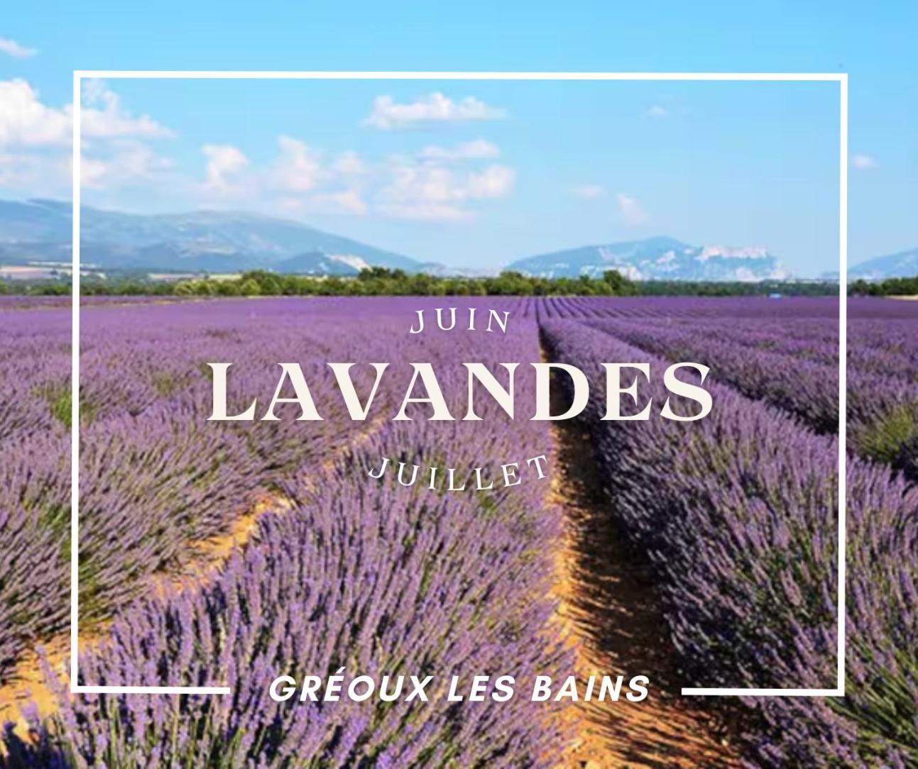 Oasis Tranquille - L'Evasion Au Verdon Gréoux-les-Bains Zewnętrze zdjęcie